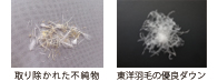 精毛