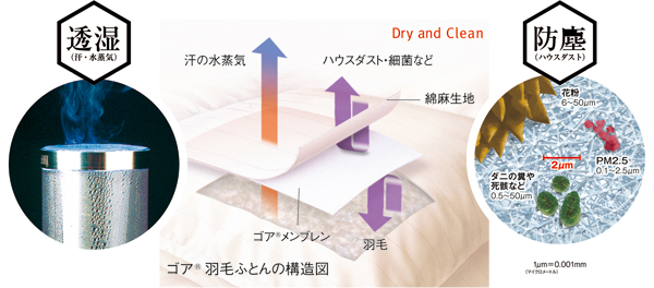 ゴア羽毛合掛けふとん