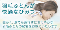 NIȗǂ͉Hѕzc