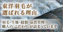mHтI΂闝RƂql̐
