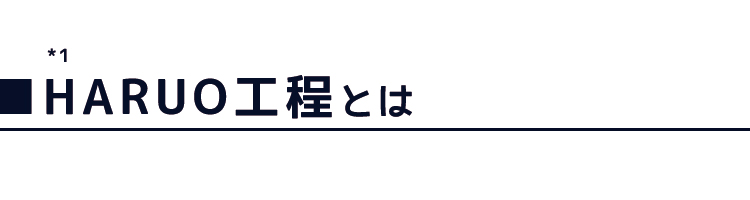HARUO工程とは