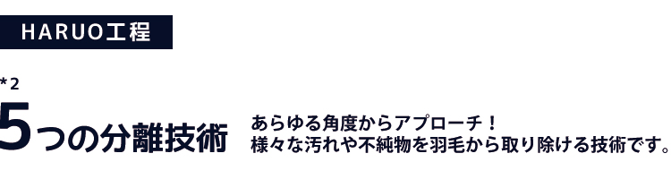HARUO工程 5つの分離技術