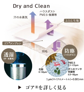 �ӂ���₳�������G