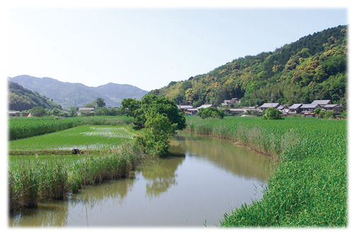近江地方の風景写真