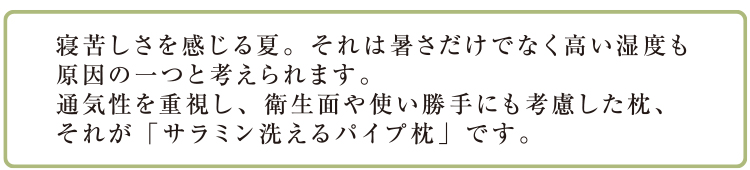 サラミン saramin 洗えるパイプ枕