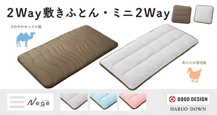 sAN[2Way~ӂƂ