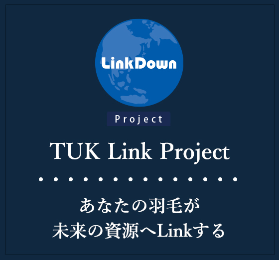 Link Project