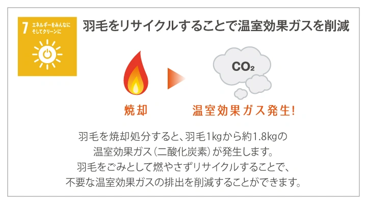 SDGs 羽毛を再利用することで温室効果ガスの削減!羽毛を焼却処分すると、羽毛1kgから約1.8kgの温室効果ガス(co2)が発生します。