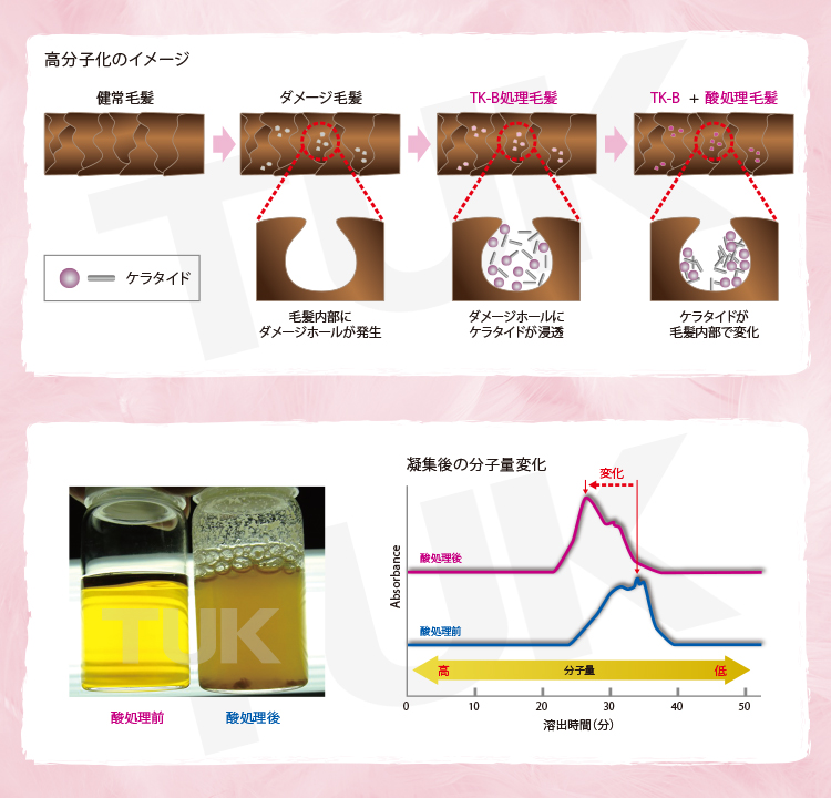 水鳥加水分解ケラチン ケラタイド 高分子化のイメージ